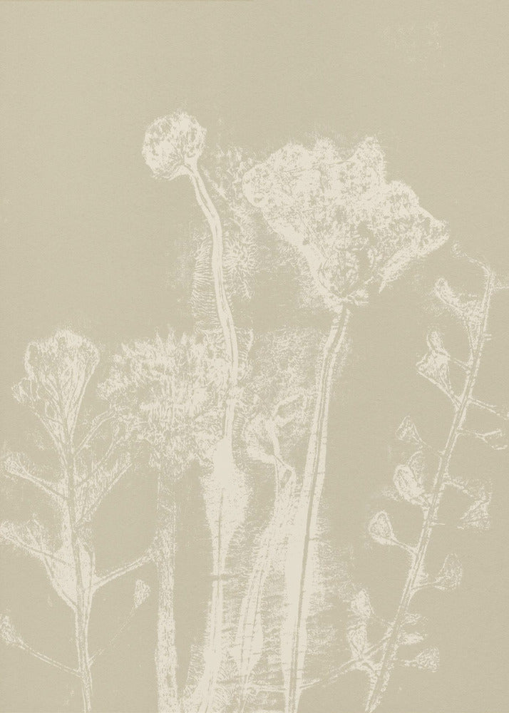 Abstracte bloemen. Witte weideplanten en bloemen op neutraal beige. | Canvas
