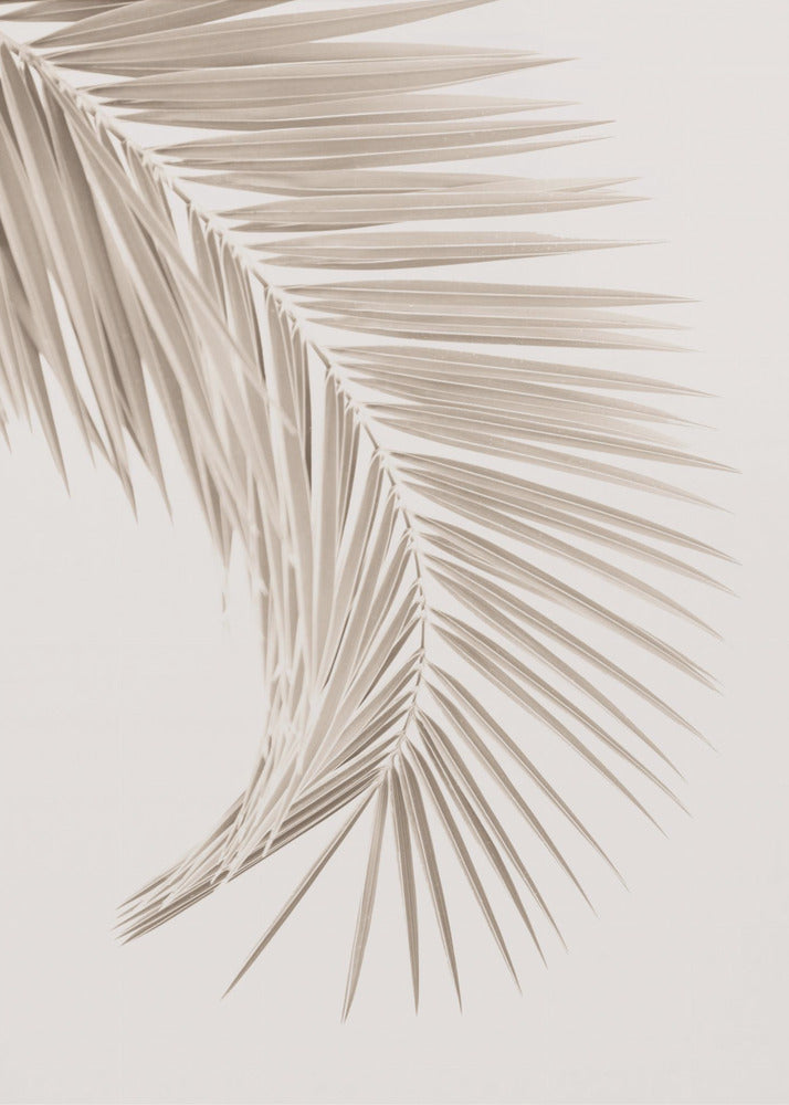 Bruin blad | Canvas