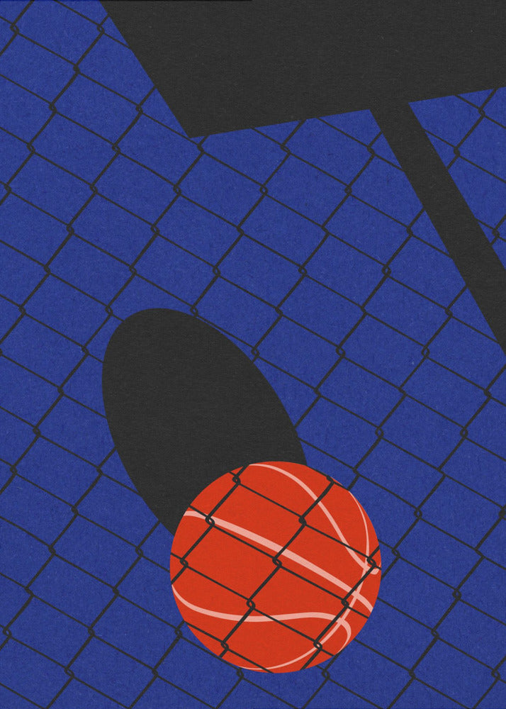 Basketbalveld Backjard | Canvas