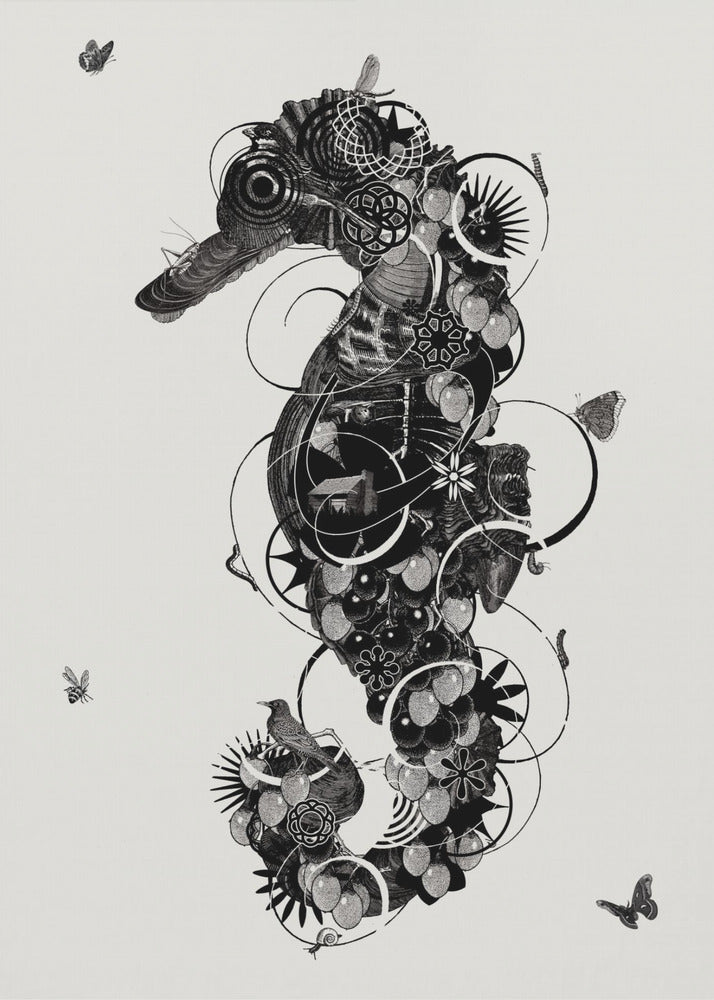 Zeepaardje | Canvas