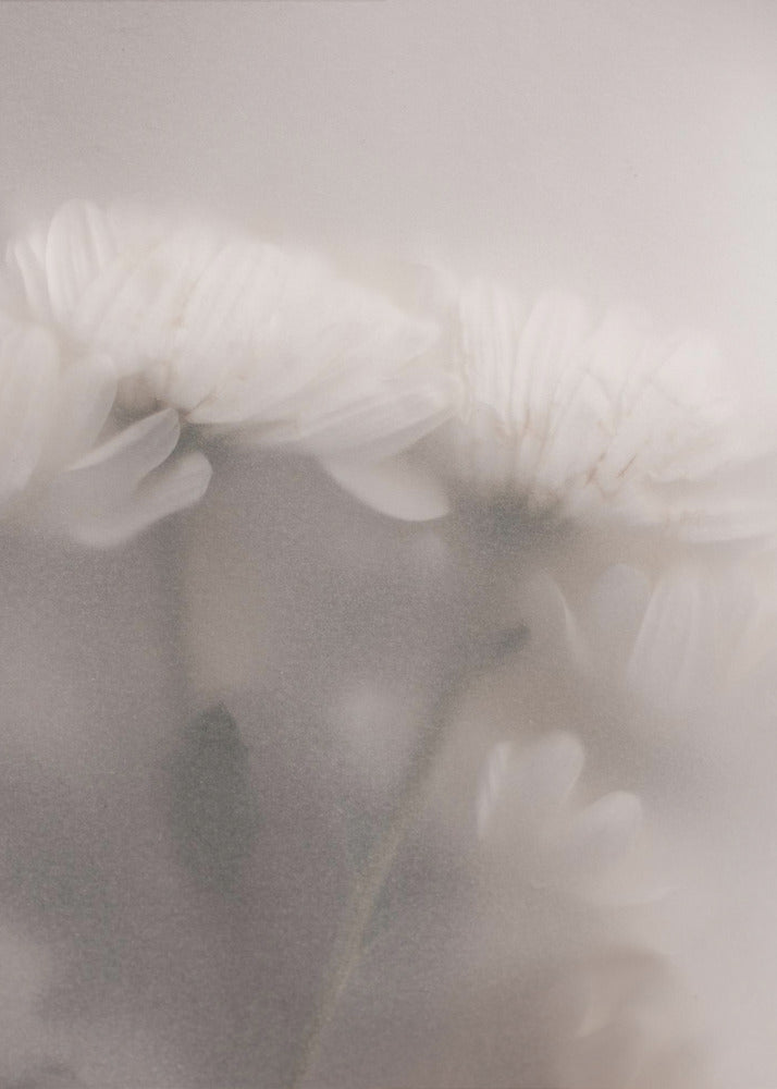 Vage bloemen 2 | Canvas
