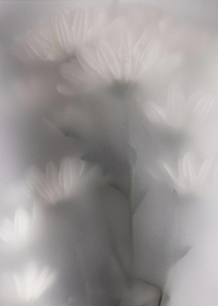 Vage bloemen 4 | Canvas