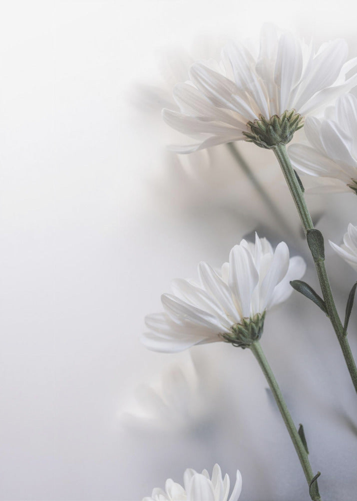 Vage bloemen 8 | Canvas