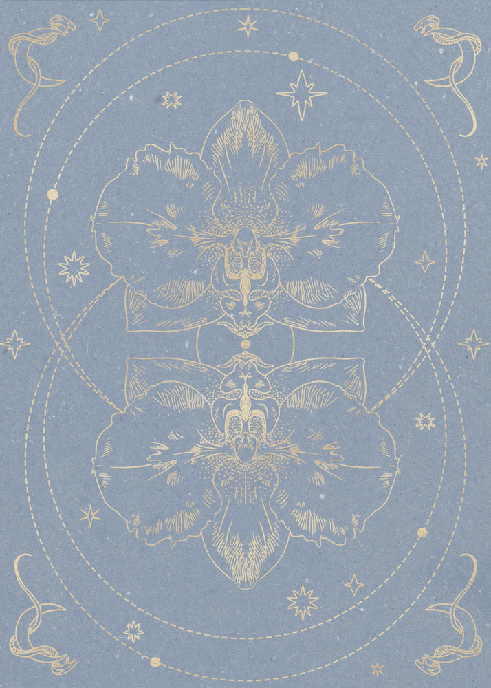 De mystieke orchidee | Canvas