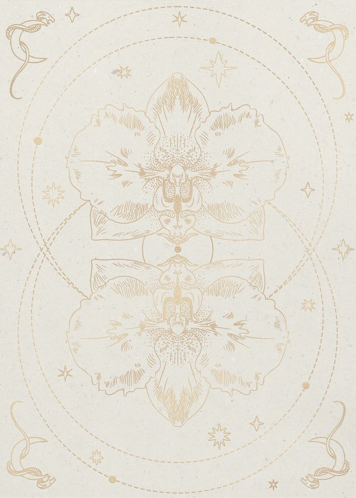 De mystieke orchidee | Canvas