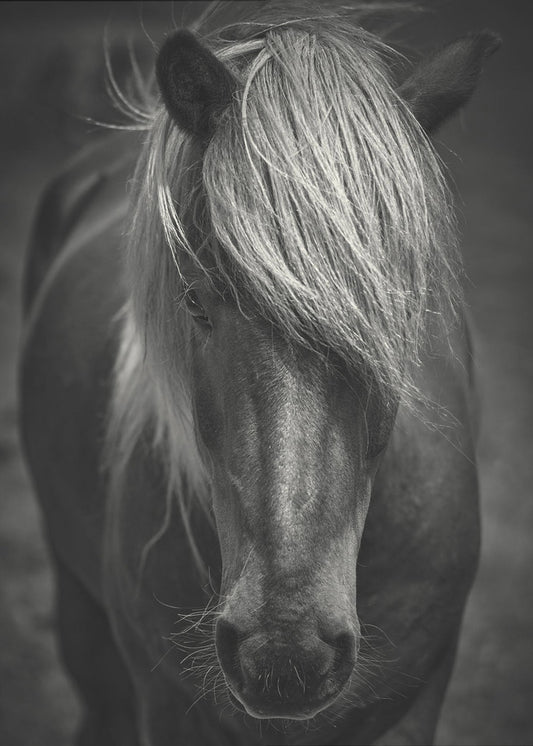 Alpine Surf Dude | Canvas