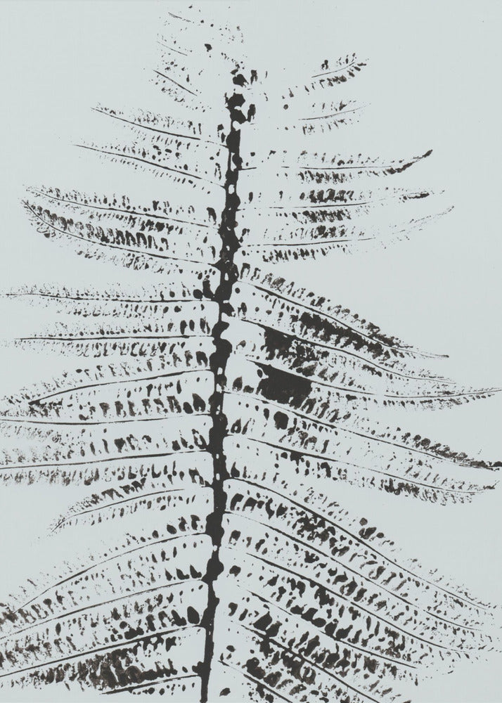Varens II | Canvas