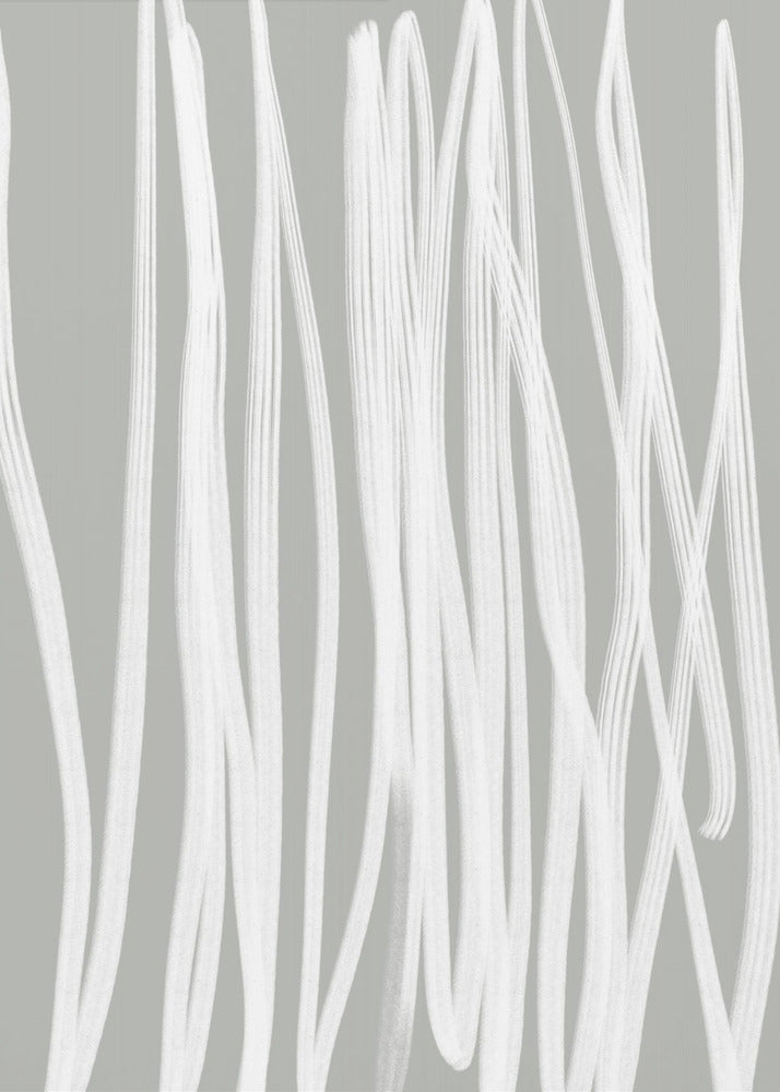 White Linear Strokes | Canvas