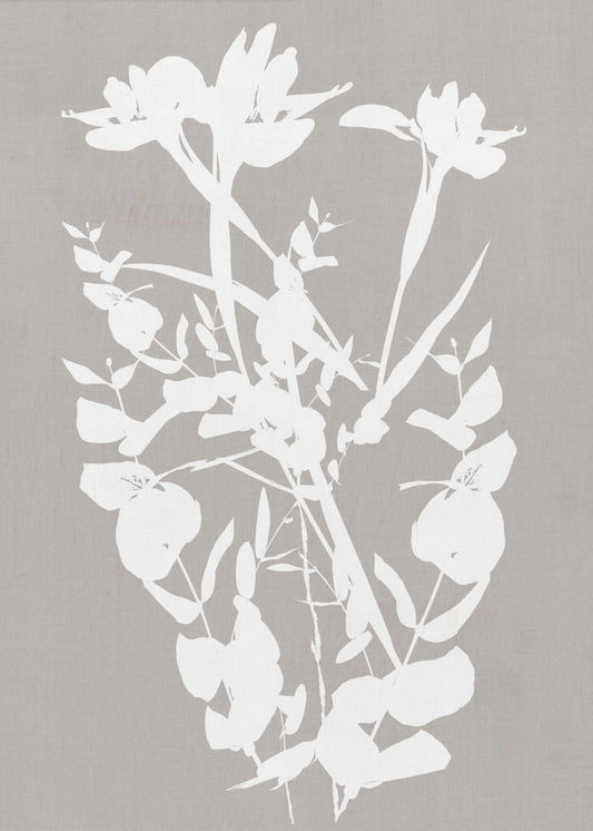 Botanische illustratie 1 | Poster