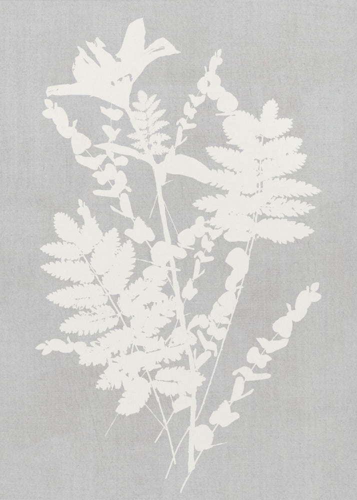 Botanische illustratie 5 | Canvas