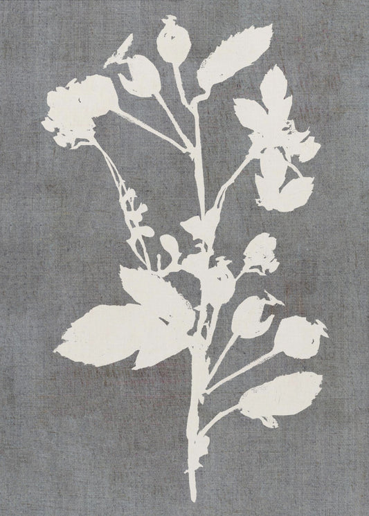 Botanische Illustratie 6 | Poster