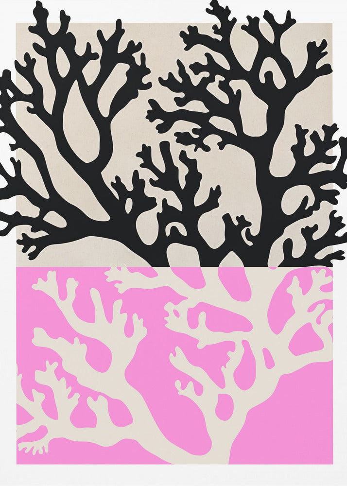 Dubbele koraalsilhouetten | Poster
