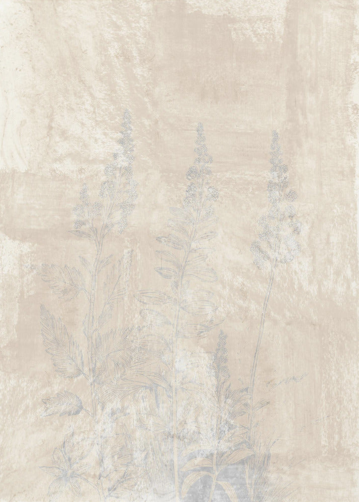 Woodsia 2 | Poster