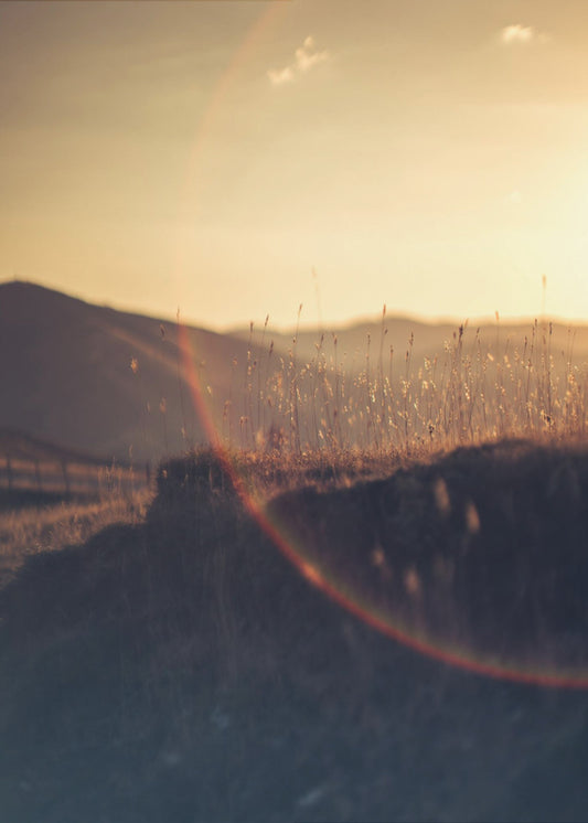 Gouden Horizon Glow | Canvas