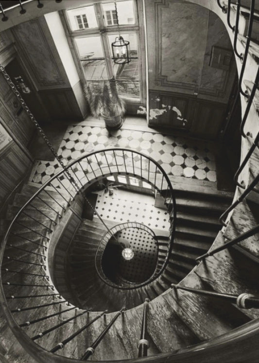 Pluk de dag | Poster