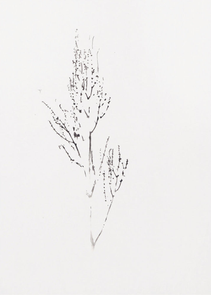 Planten | Canvas