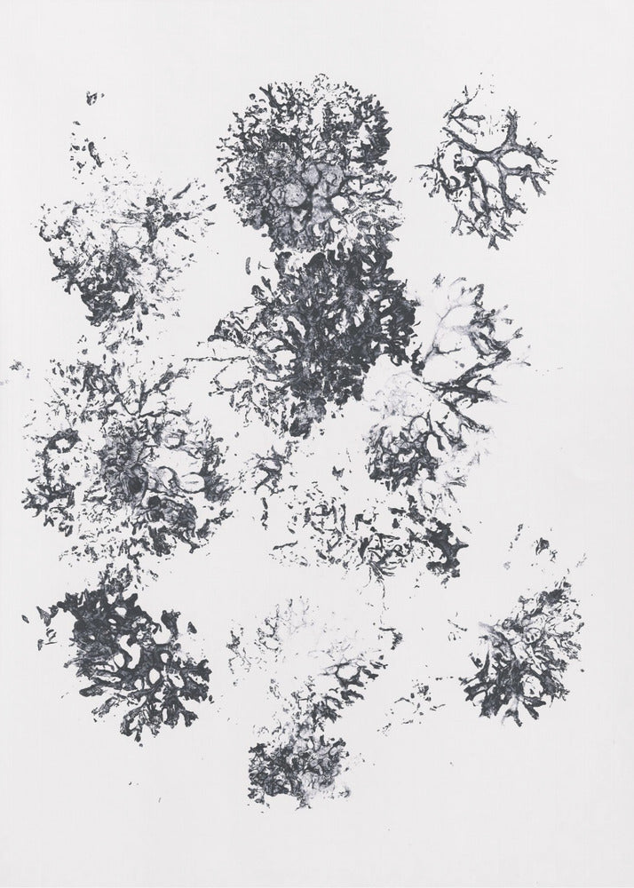 Planten II | Canvas