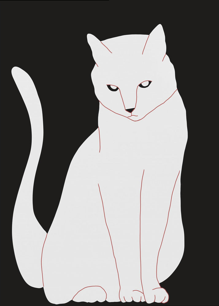 Witte en zwarte kat | Canvas