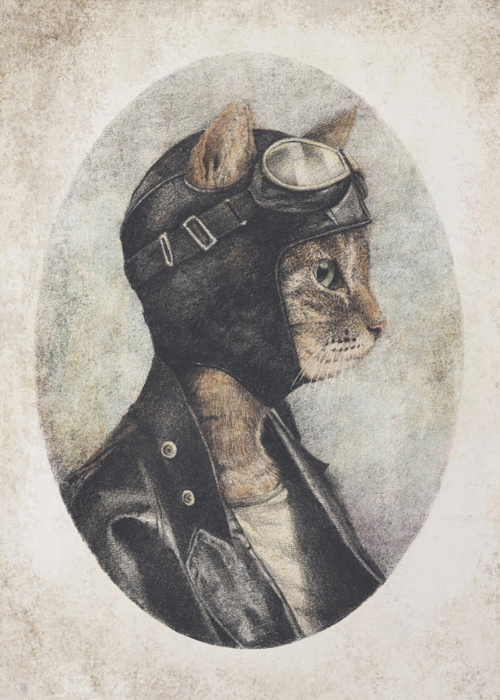 Stijlvolle kat in leren jas | Poster