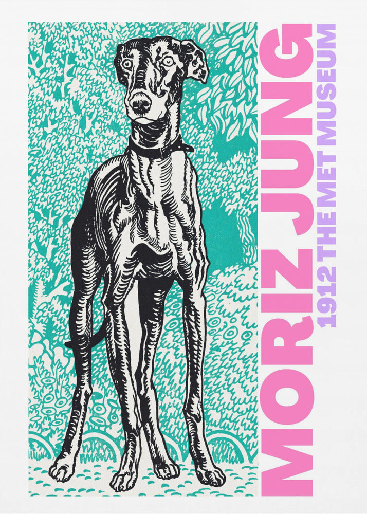 Koninklijke hondenblik | Poster