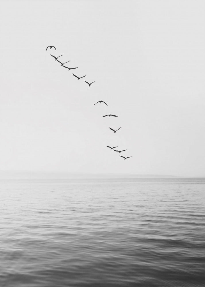 Vliegende vogels | Canvas