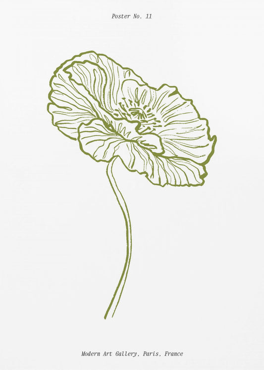 Pale Poppy Sketch | Poster