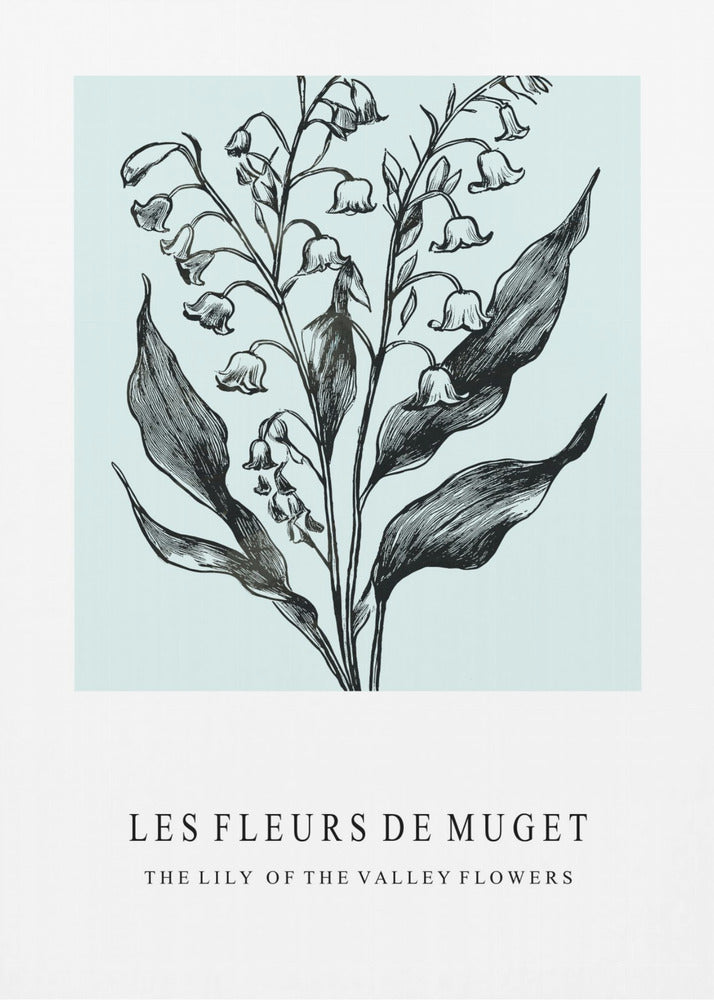 Lelietje-van-dalenbloemen in een monochrome illustratie | Canvas