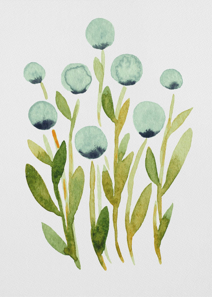 Blauwe bolvormige bloemen | Canvas