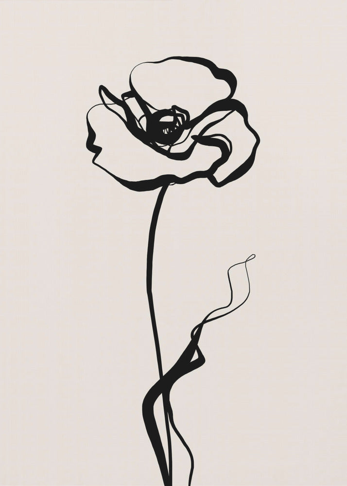 Poppy 2 | Canvas