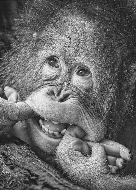 Grote glimlach.....alsjeblieft | Poster