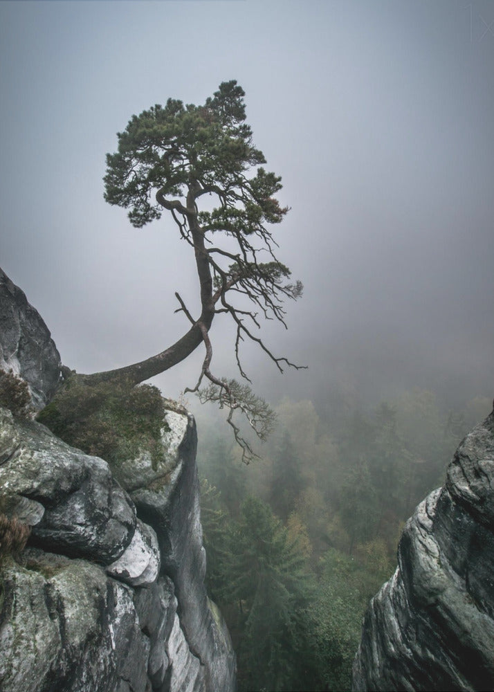 Against the Odds | Canvas