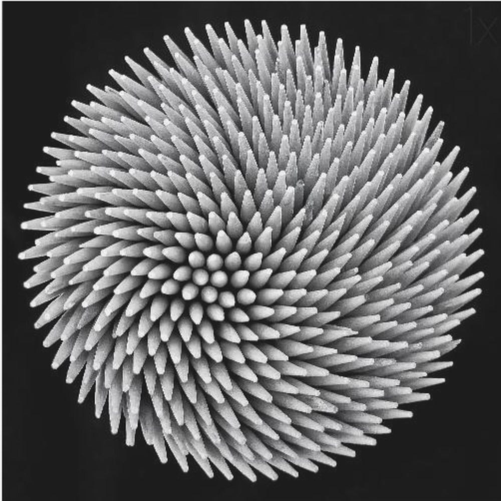 hypnose | Canvas