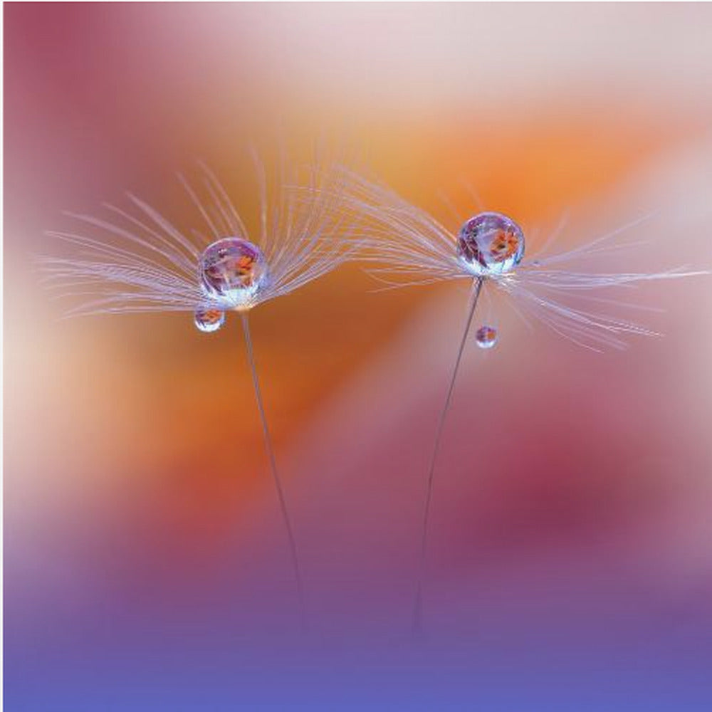 Twee werelden | Canvas