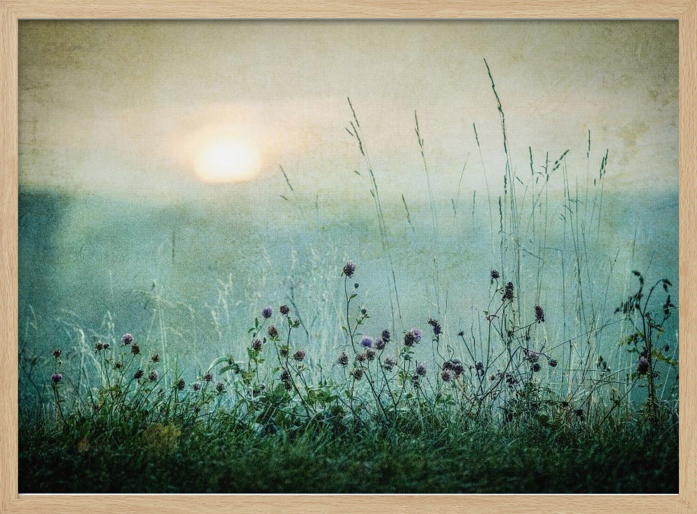 Herfstzonsopgang | Poster