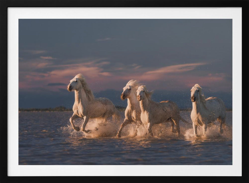 Engelen van de Camargue | Poster