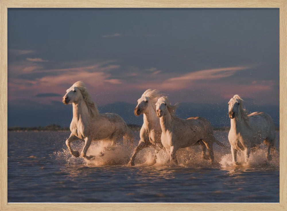 Engelen van de Camargue | Poster