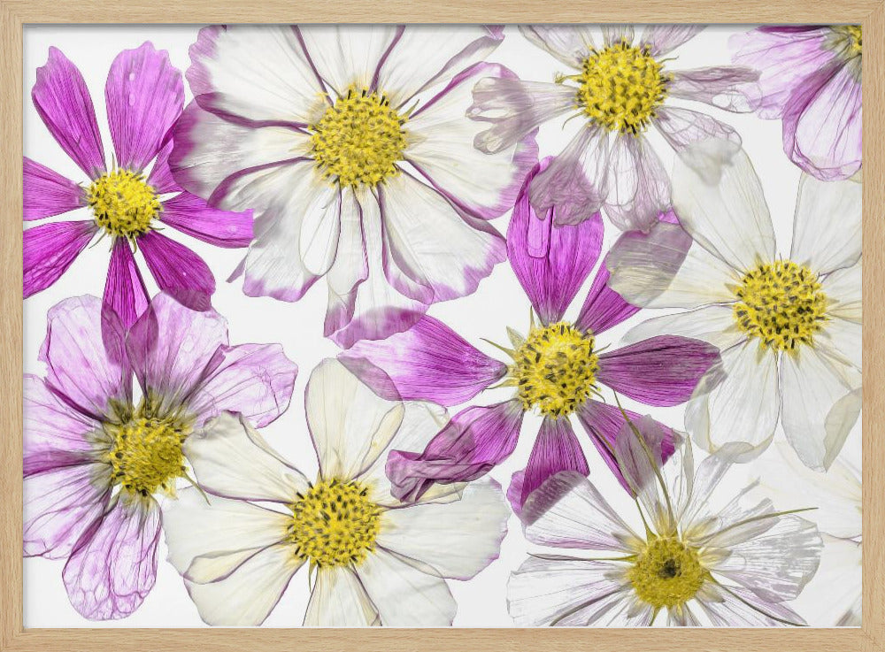 Zomer in stand houden | Poster