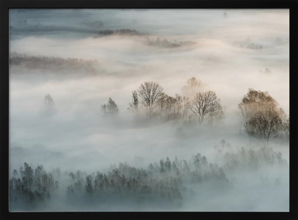 Winter fog | Poster