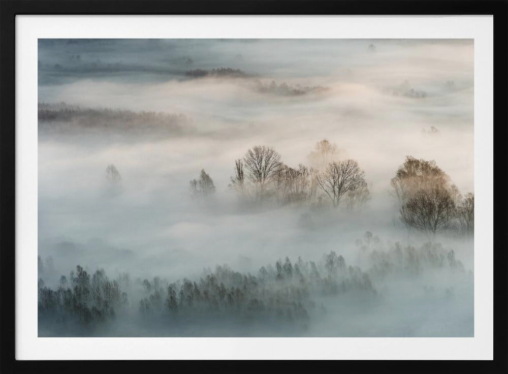 Winter fog | Poster