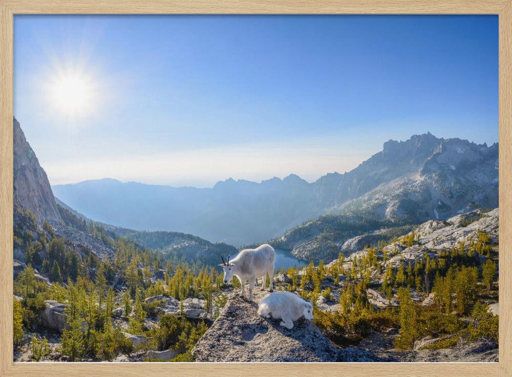 Betovering: Panorama van de Prusikpas | Poster
