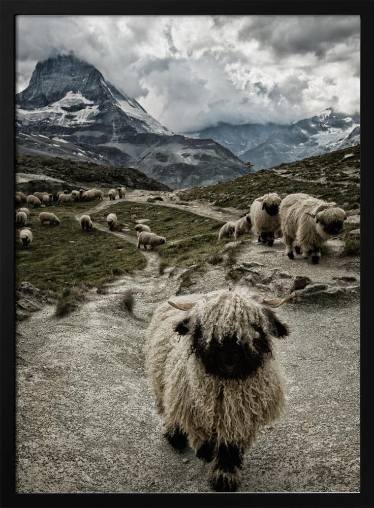 Uit de weg | Poster