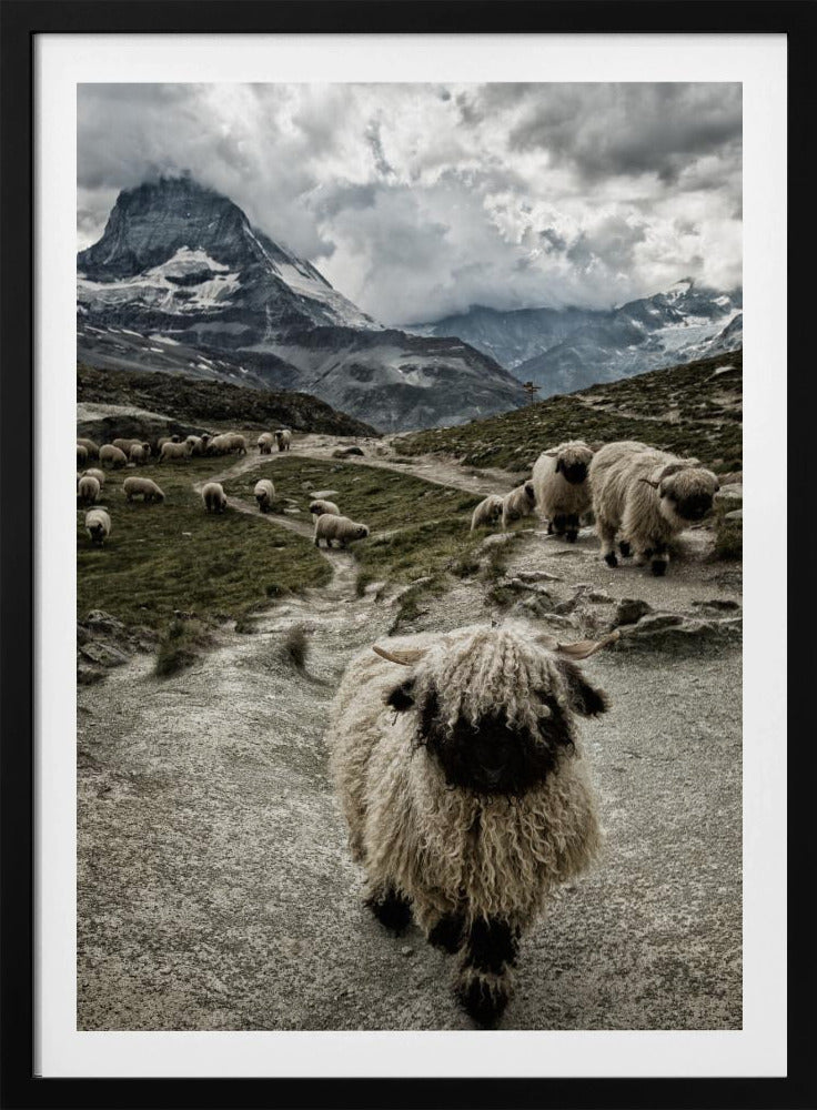 Uit de weg | Poster