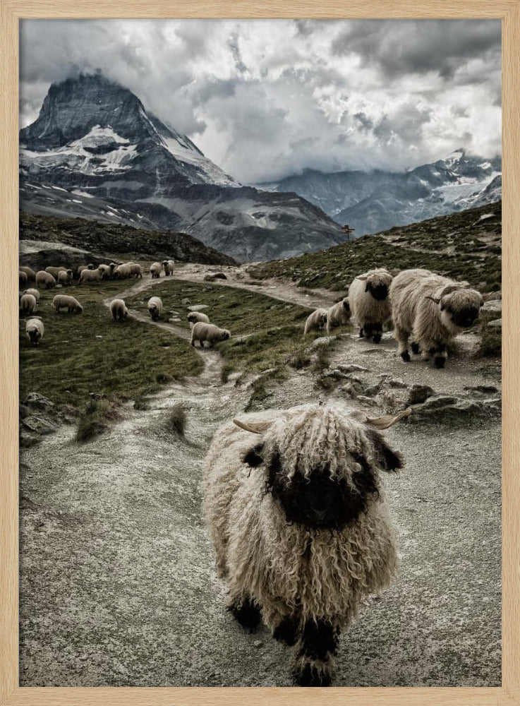 Uit de weg | Poster