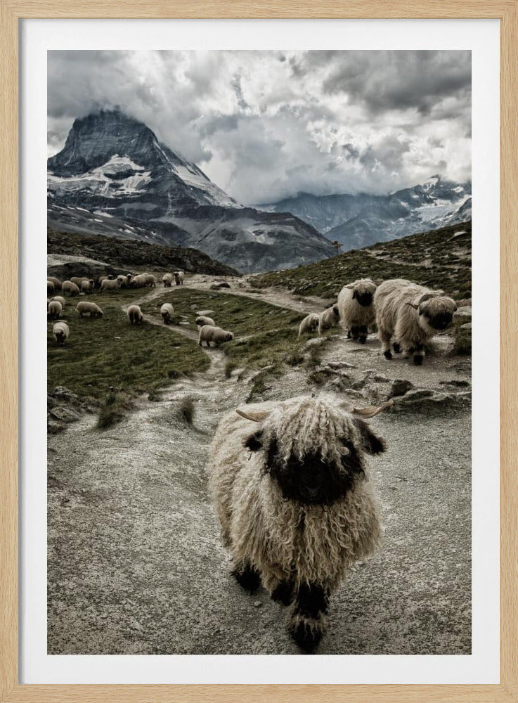 Uit de weg | Poster