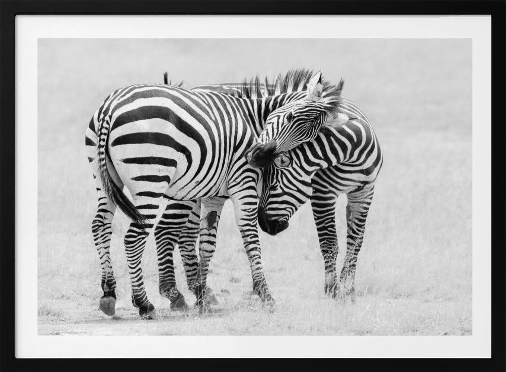 Teder moment | Poster