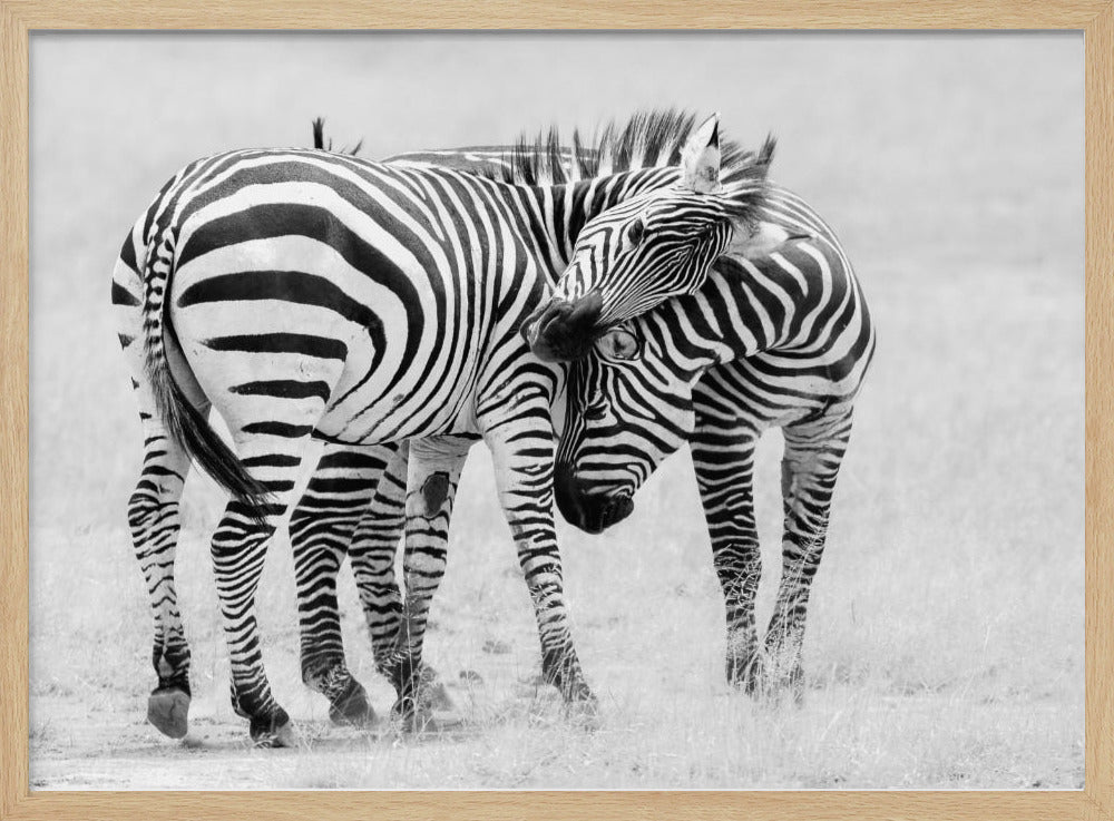 Teder moment | Poster
