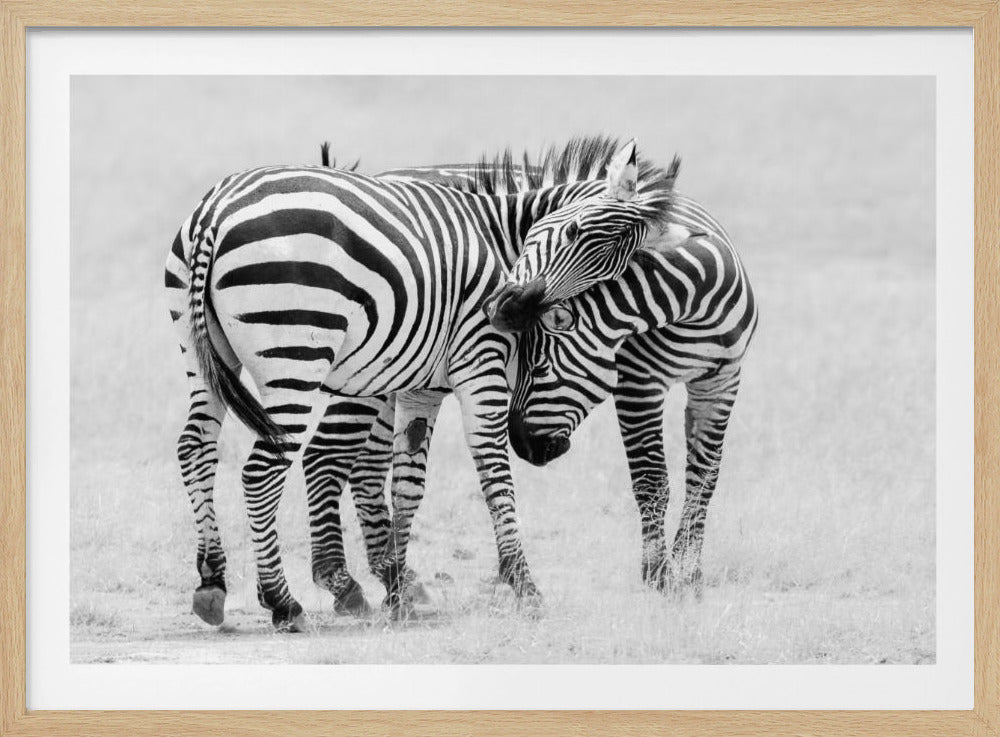 Teder moment | Poster