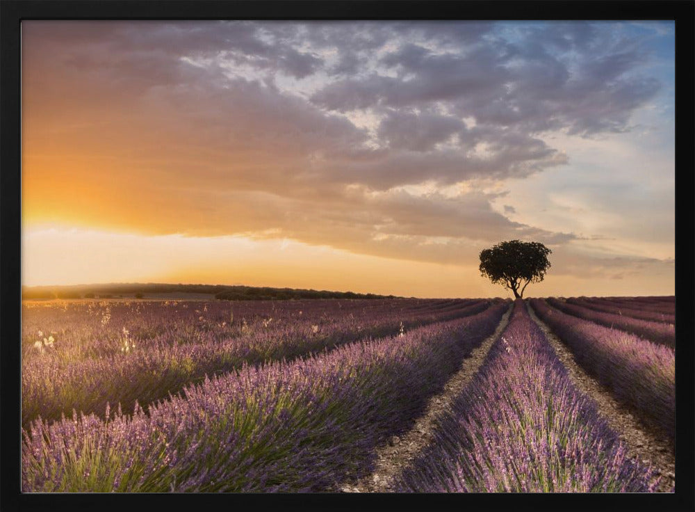 BESTEMMING LAVENDEL | Poster