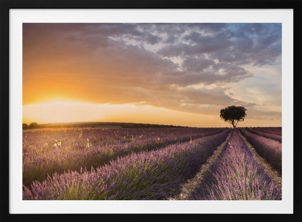 BESTEMMING LAVENDEL | Poster