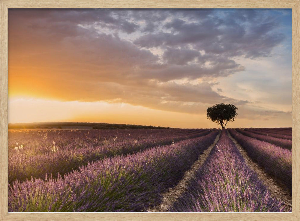 BESTEMMING LAVENDEL | Poster